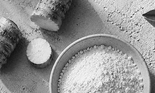 Arrowroot