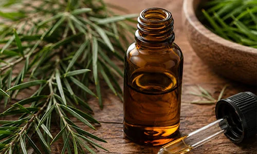 Tea Tree Oil
