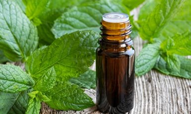 Peppermint Oil