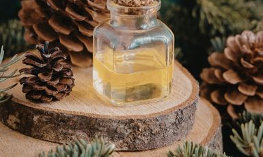 Pine Tree Oil
