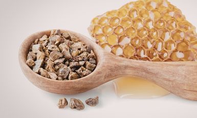 Propolis Resin
